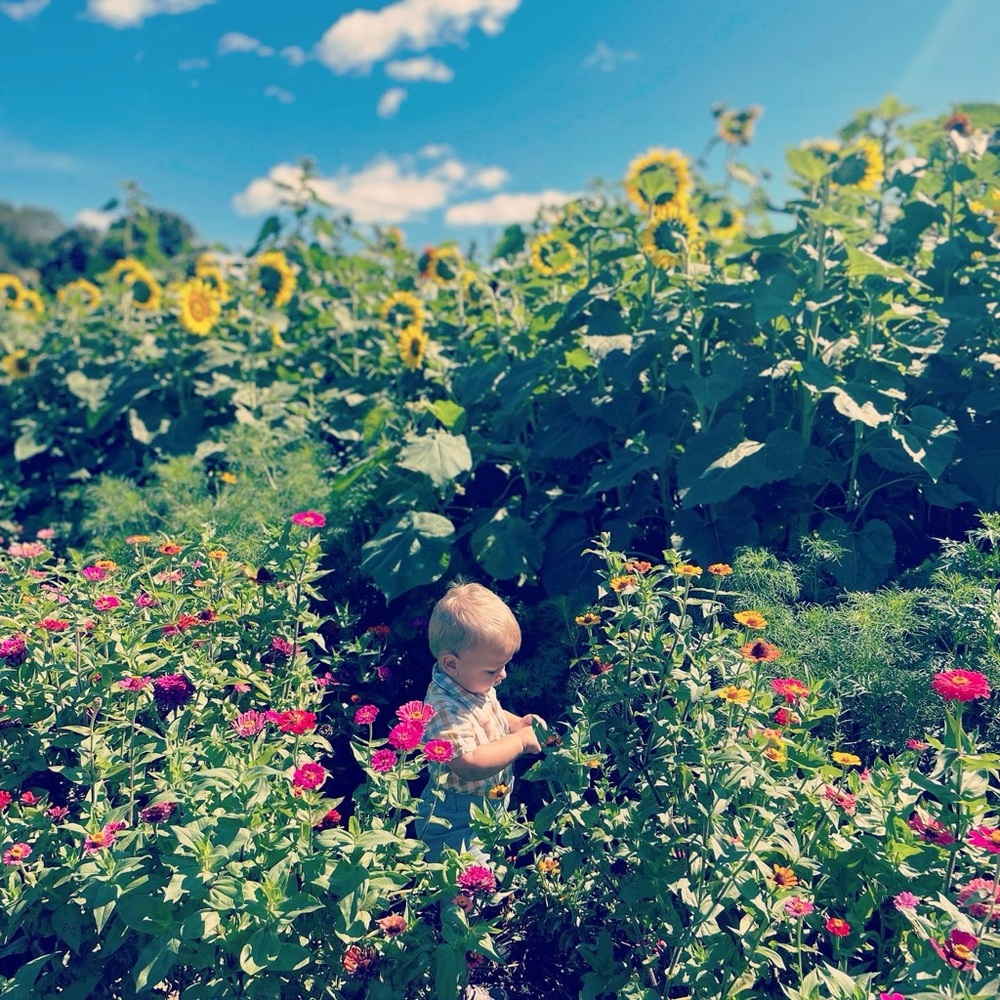 Meet your Posher, Steph